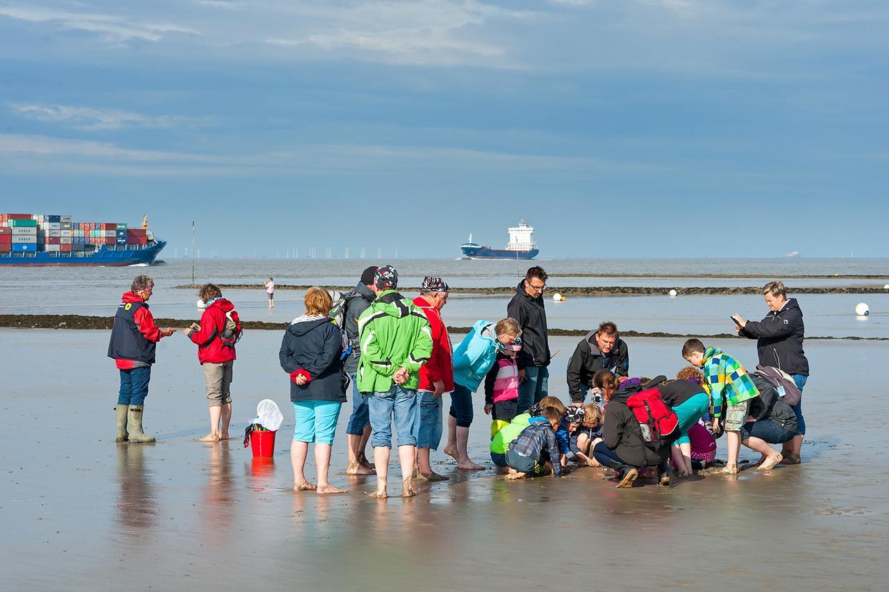 Ferienhof Lafrenz Apartment Cuxhaven Luaran gambar